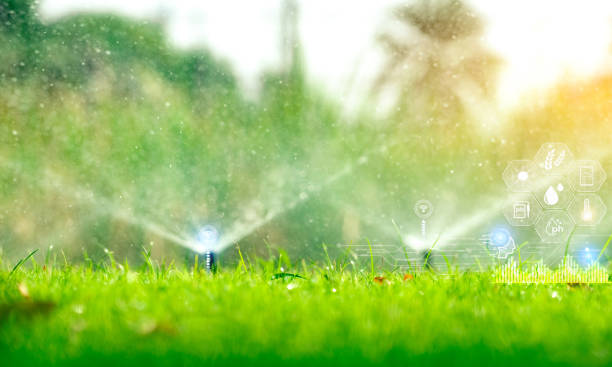 Irrigation technician installing lawn sprinkler in East New Market