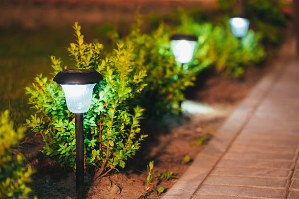 Outdoor accent lighting design by Miles Creek Irrigation and Lighting