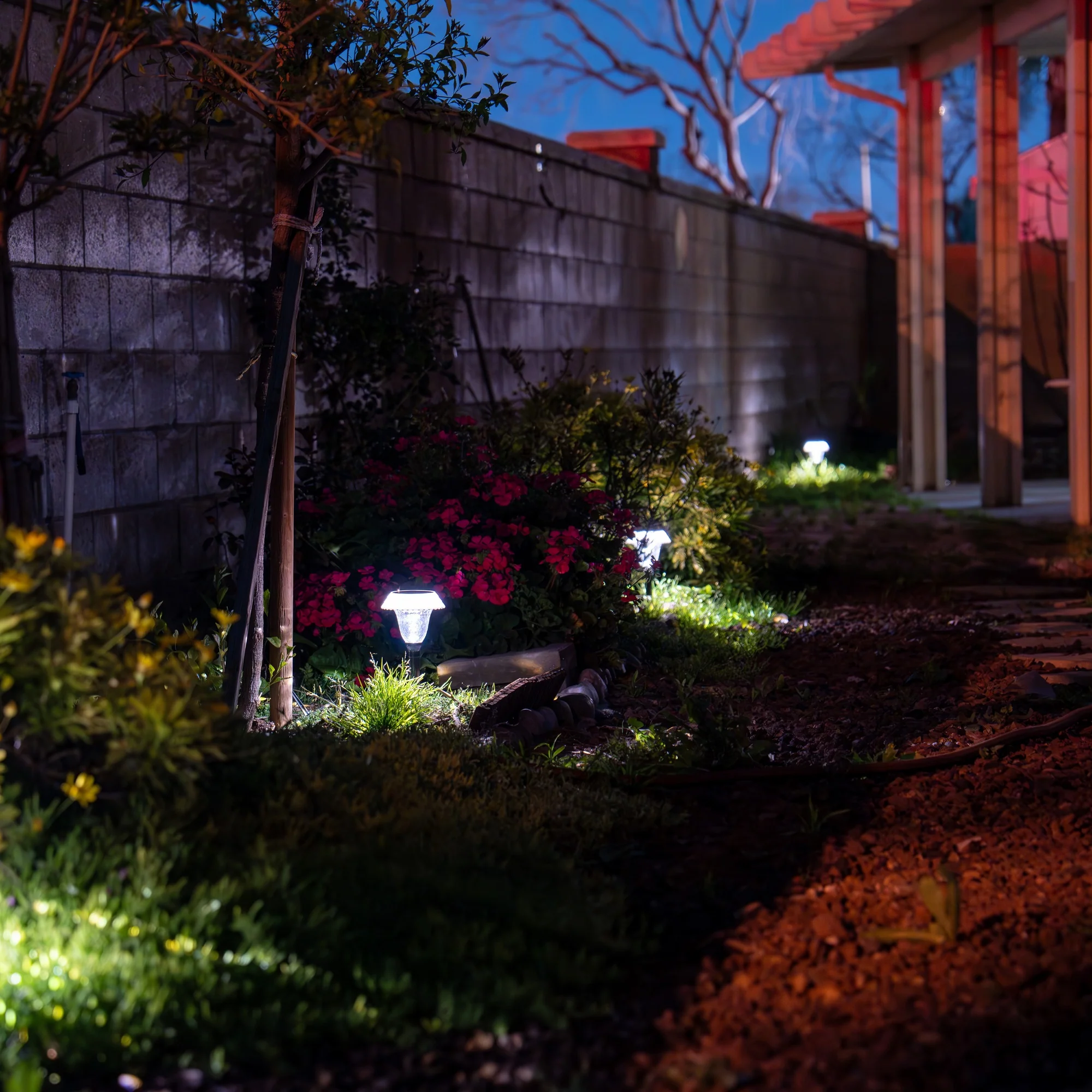 Expert landscape lighting service transforming East New Market, MD property