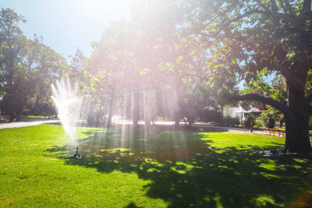 Newly installed sprinkler system watering green lawn evenly