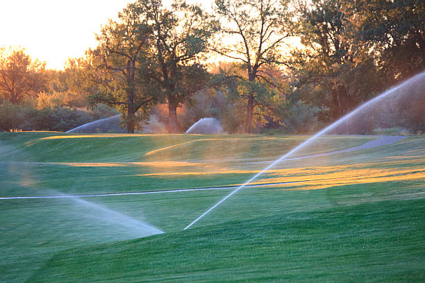 Irrigation specialist adjusting sprinkler head for proper coverage