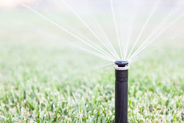 Miles Creek Irrigation and Lighting fixing broken sprinkler heads in East Bay yard