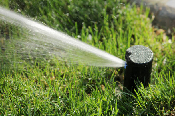 Technician reviewing sprinkler system installation settings beside a Millsboro - DE lawn and planting bed