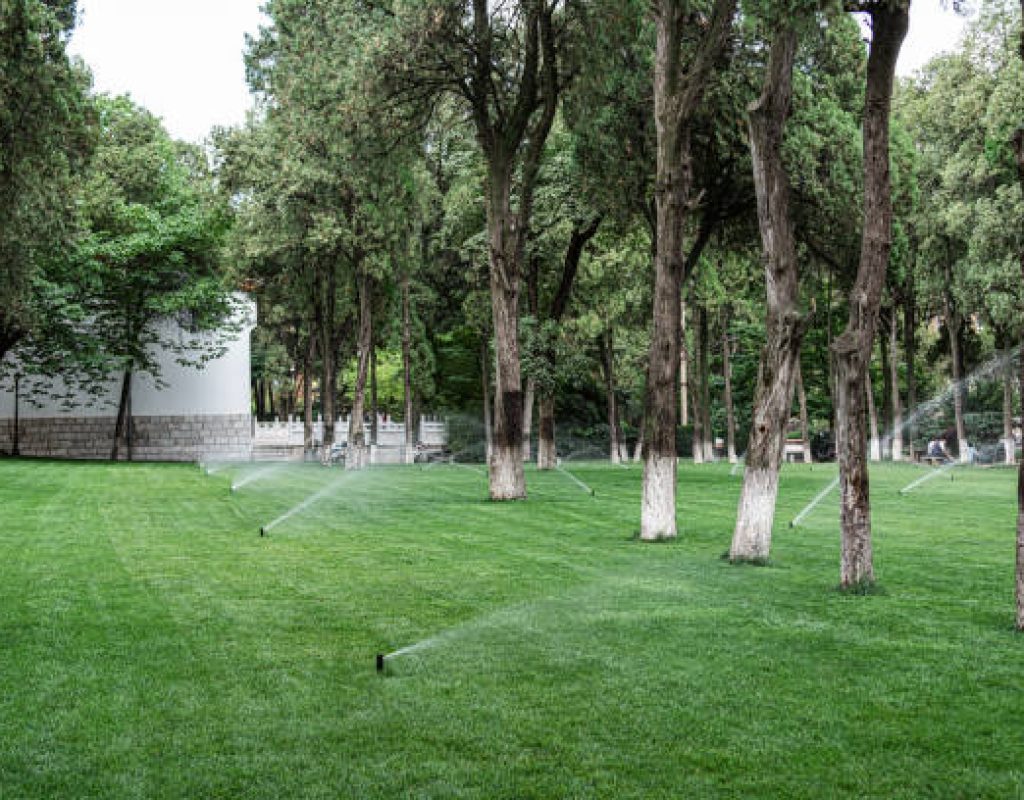 Efficient irrigation system setup for garden by Miles Creek Irrigation team