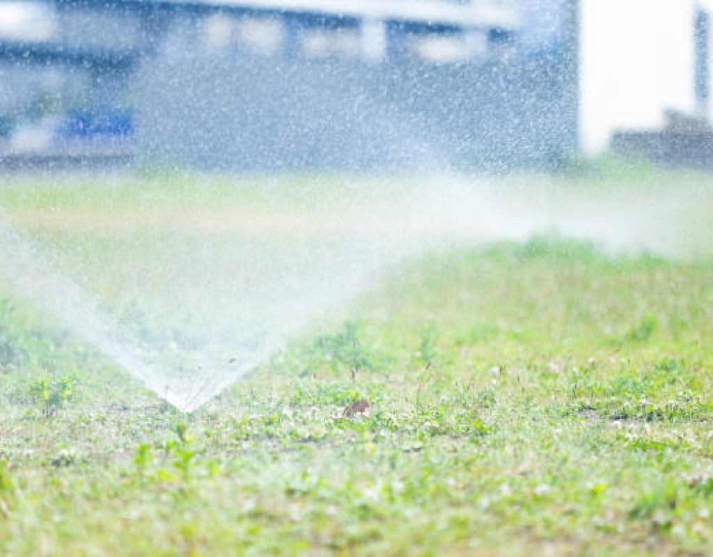 Lawn sprinkler heads installed across residential property