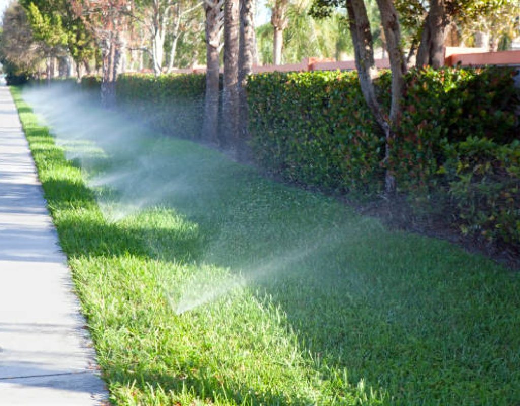 Professional sprinkler system installation in residential yard by Miles Creek Irrigation