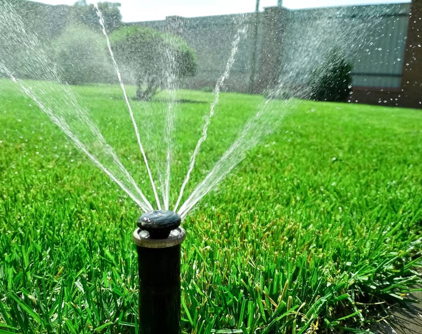 Irrigation technician adjusting a sprinkler head for optimal coverage