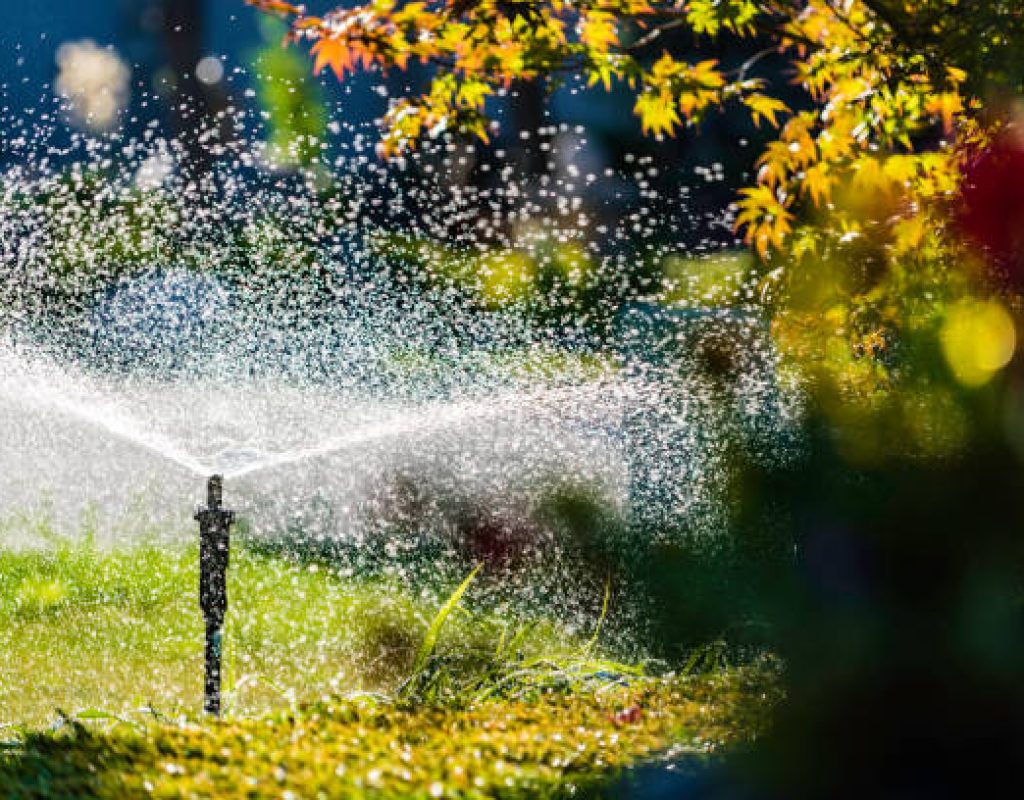 Technician diagnosing faulty irrigation valve in sprinkler system