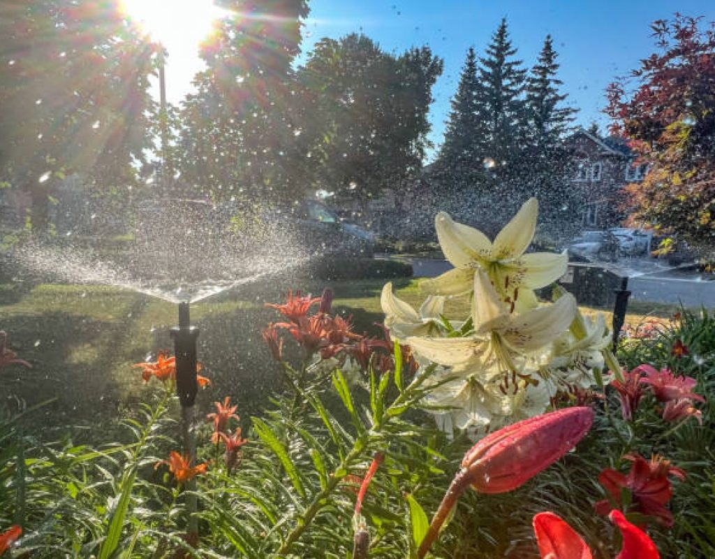 Professional East Bay sprinkler system repair for residential lawn irrigation maintenance
