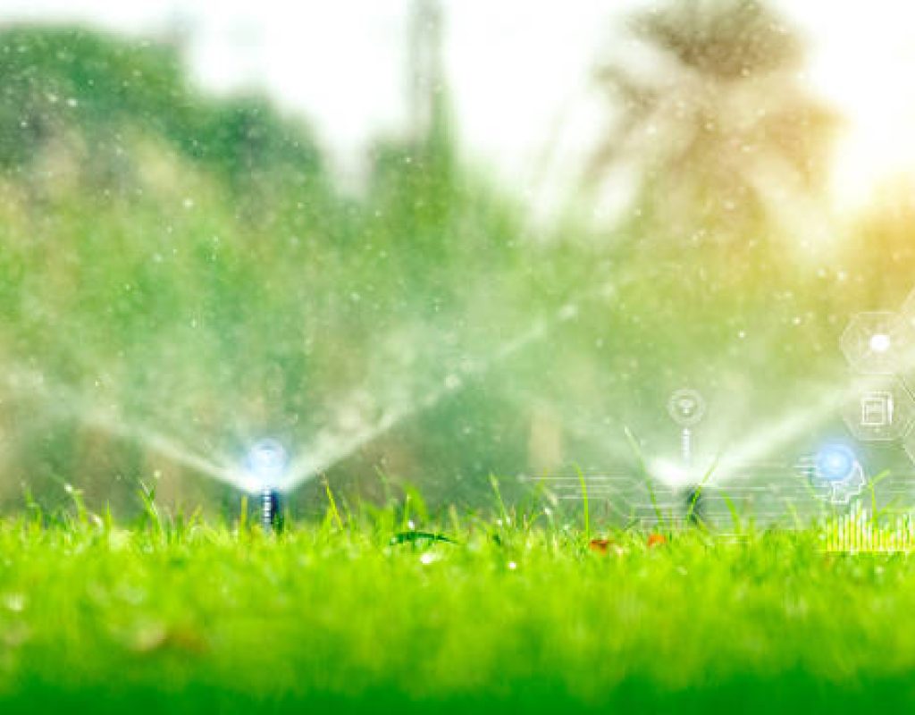 Irrigation technician installing lawn sprinkler in East New Market