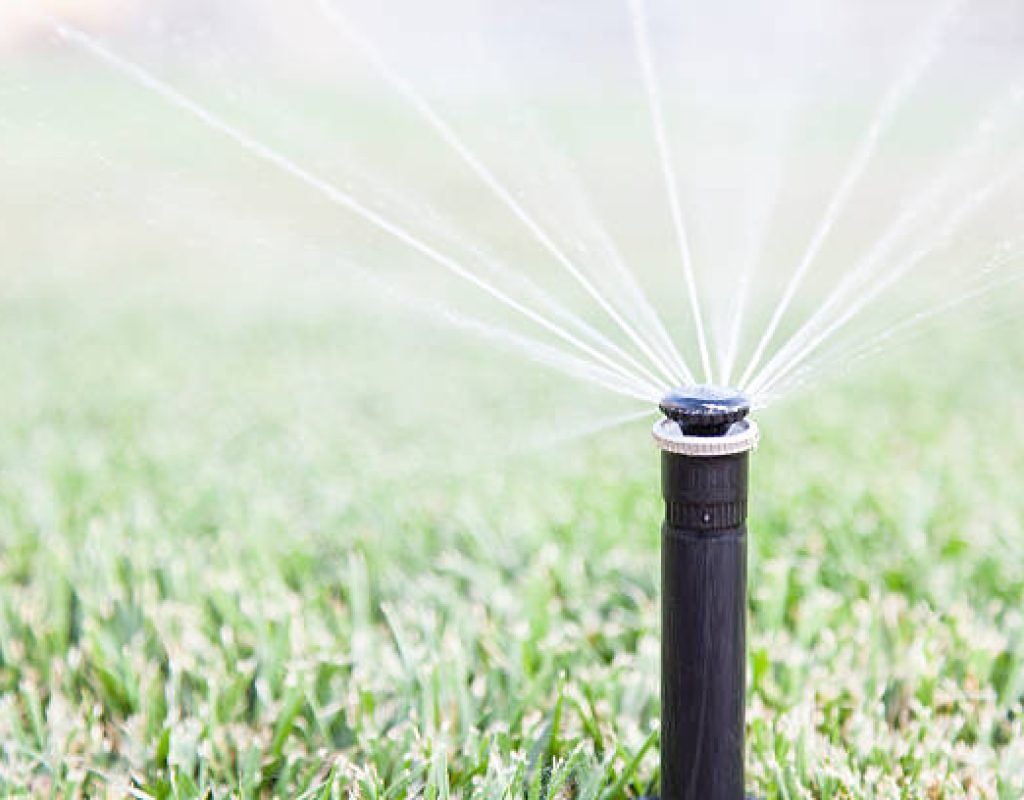 Miles Creek Irrigation and Lighting fixing broken sprinkler heads in East Bay yard