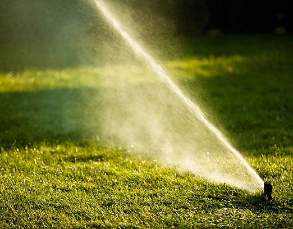 Sprinkler technician fixing clogged sprinkler head on lawn
