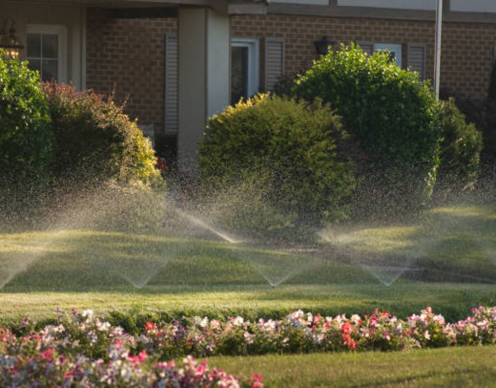 Irrigation specialist adjusting sprinkler head for proper coverage