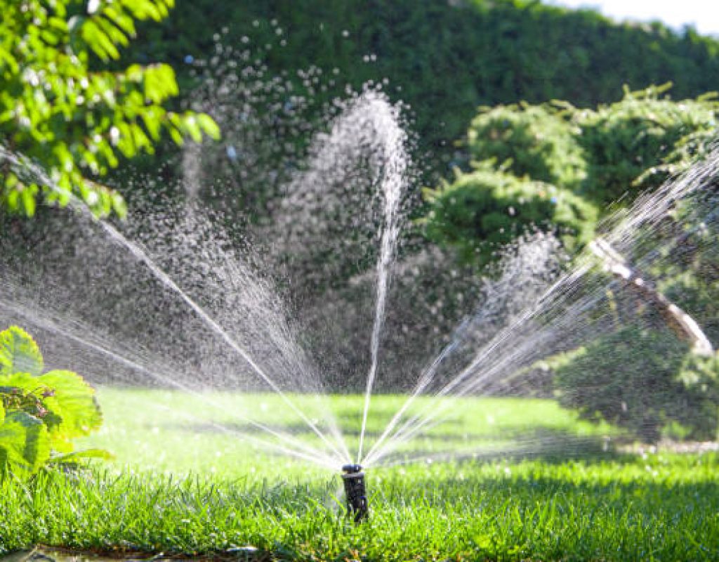 Sprinkler head replacement during lawn irrigation repair