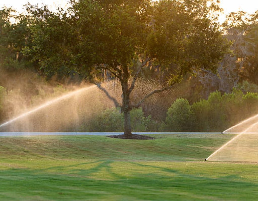 Professional fixing damaged residential sprinkler irrigation system