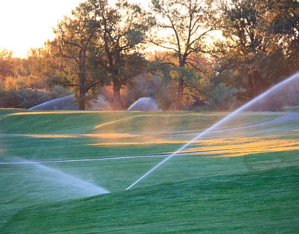 Irrigation specialist adjusting sprinkler head for proper coverage