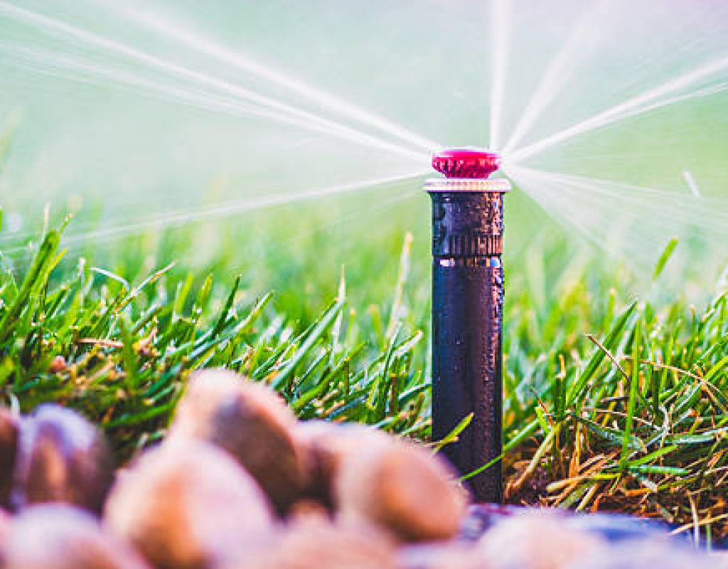 Sprinkler head replacement during lawn irrigation repair