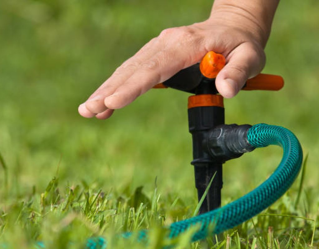 Miles Creek Irrigation installing underground sprinkler lines
