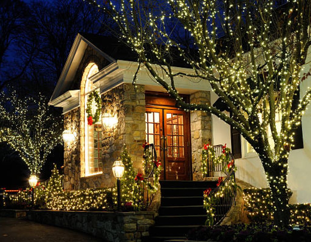 Pathway landscape lighting installation in Cordova residential backyard