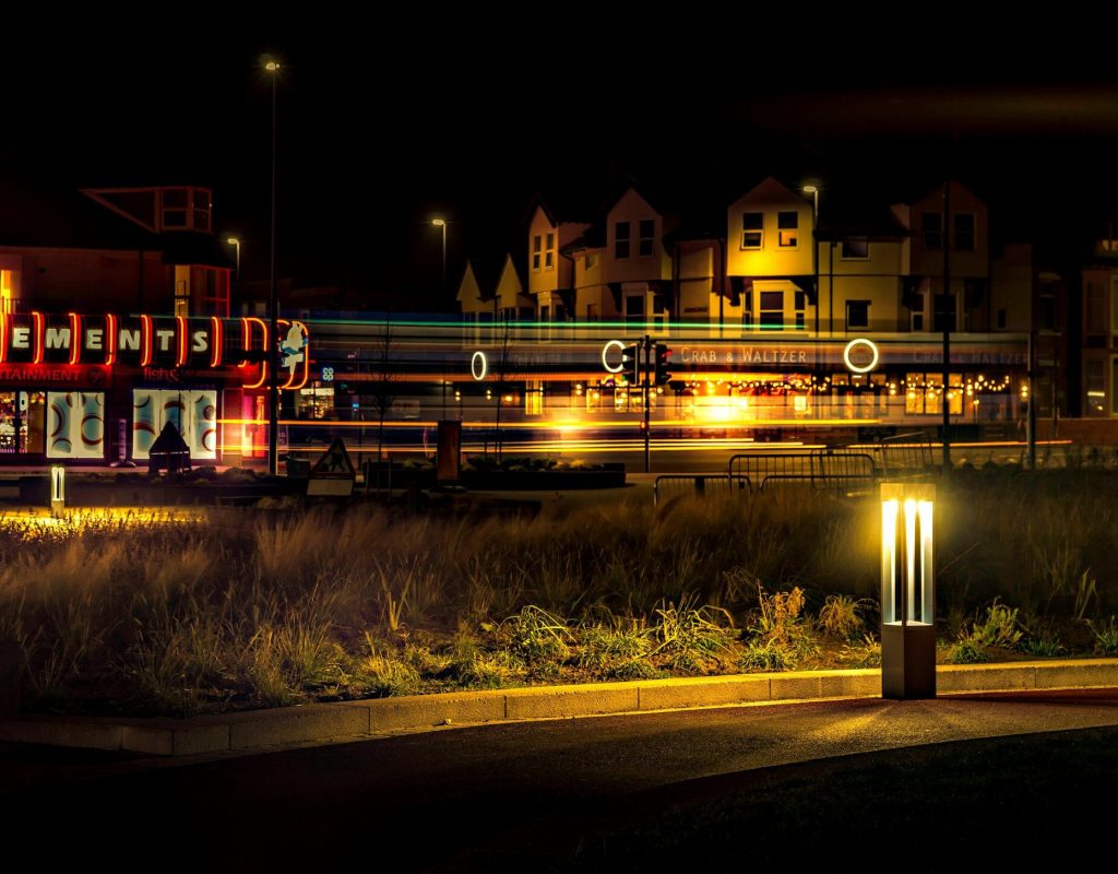 Landscape lighting installation for Royal Oak residential garden at night